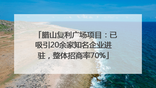 腊山复利广场项目：已吸引20余家知名企业进驻，整体招商率70%