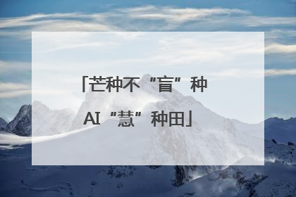 芒种不“盲”种 AI“慧”种田