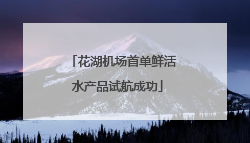 花湖机场首单鲜活水产品试航成功