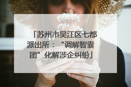 苏州市吴江区七都派出所：“调解智囊团”化解涉企纠纷