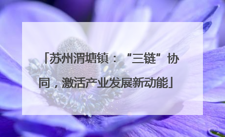 苏州渭塘镇：“三链”协同，激活产业发展新动能