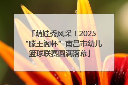 萌娃秀风采！2025“滕王阁杯”南昌市幼儿篮球联赛圆满落幕
