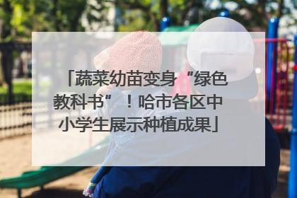 蔬菜幼苗变身“绿色教科书”！哈市各区中小学生展示种植成果