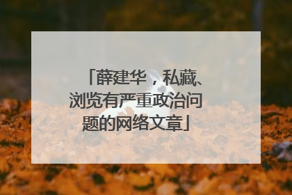 薛建华，私藏、浏览有严重政治问题的网络文章