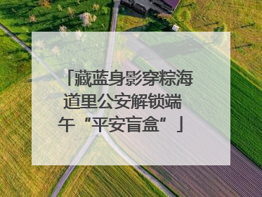 藏蓝身影穿粽海 道里公安解锁端午“平安盲盒”
