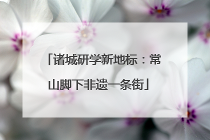 诸城研学新地标：常山脚下非遗一条街