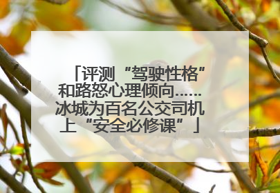 评测“驾驶性格”和路怒心理倾向……冰城为百名公交司机上“安全必修课”