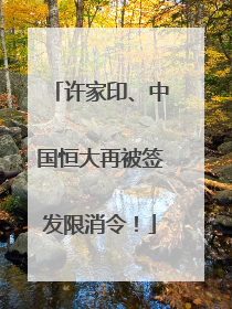 许家印、中国恒大再被签发限消令！