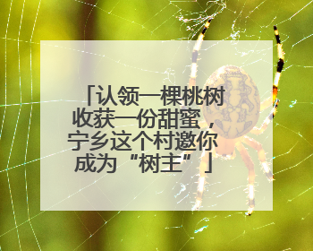 认领一棵桃树收获一份甜蜜，宁乡这个村邀你成为“树主”