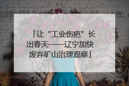 让“工业伤疤”长出春天——辽宁加快废弃矿山治理观察