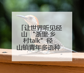 让世界听见径山 “浙里·乡村talk”径山镇青年多语种宣讲展现文化国际范