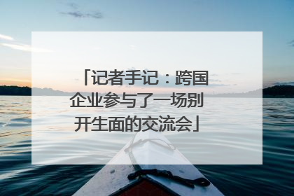 记者手记：跨国企业参与了一场别开生面的交流会