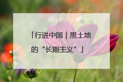 行进中国｜黑土地的“长期主义”