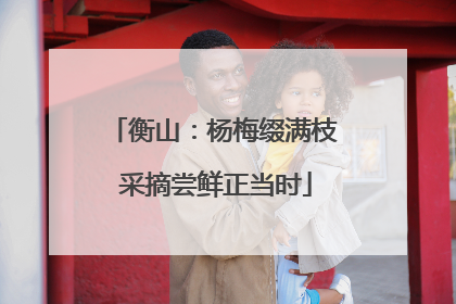 衡山：杨梅缀满枝 采摘尝鲜正当时