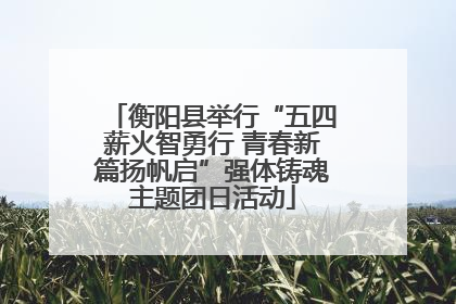 衡阳县举行“五四薪火智勇行 青春新篇扬帆启”强体铸魂主题团日活动