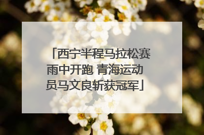 西宁半程马拉松赛雨中开跑 青海运动员马文良斩获冠军