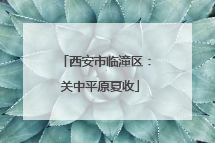 西安市临潼区：关中平原夏收