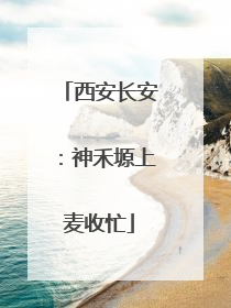 西安长安：神禾塬上麦收忙