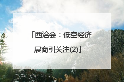 西洽会：低空经济展商引关注(2)