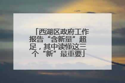西湖区政府工作报告“含新量”超足，其中读懂这三个“新”最重要