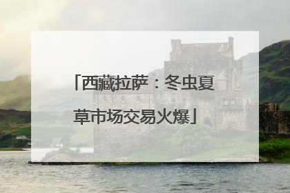 西藏拉萨：冬虫夏草市场交易火爆