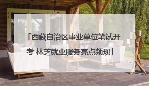 西藏自治区事业单位笔试开考 林芝就业服务亮点频现
