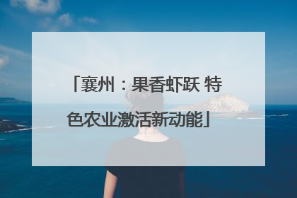 襄州：果香虾跃 特色农业激活新动能
