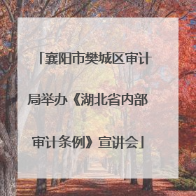 襄阳市樊城区审计局举办《湖北省内部审计条例》宣讲会