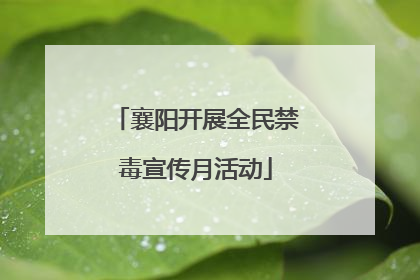 襄阳开展全民禁毒宣传月活动