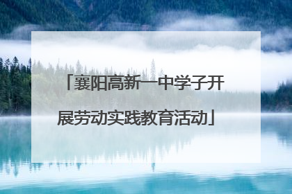 襄阳高新一中学子开展劳动实践教育活动
