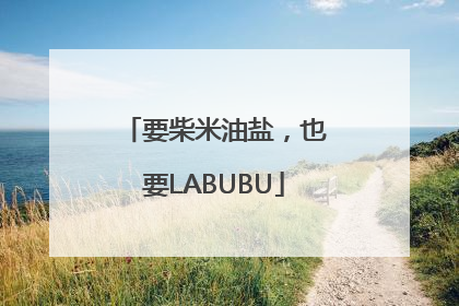 要柴米油盐，也要LABUBU