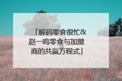 解码零食很忙&赵一鸣零食与加盟商的共赢方程式