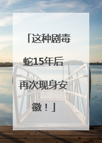 这种剧毒蛇15年后再次现身安徽！