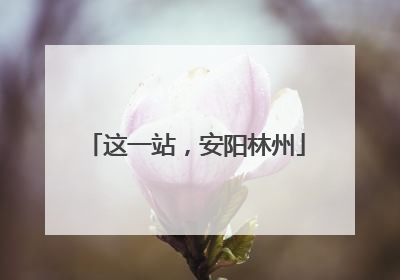 这一站，安阳林州