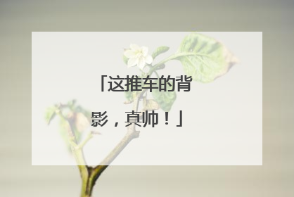 这推车的背影，真帅！