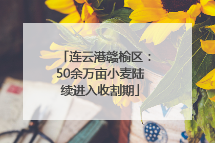连云港赣榆区：50余万亩小麦陆续进入收割期