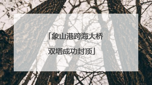 象山港跨海大桥双塔成功封顶