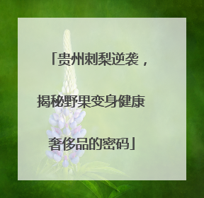贵州刺梨逆袭，揭秘野果变身健康奢侈品的密码