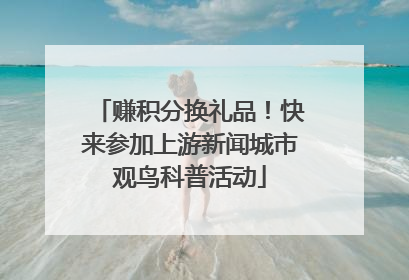 赚积分换礼品！快来参加上游新闻城市观鸟科普活动