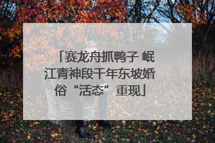 赛龙舟抓鸭子 岷江青神段千年东坡婚俗“活态”重现