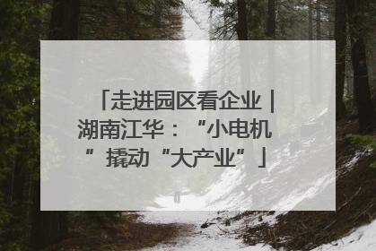 走进园区看企业｜湖南江华：“小电机”撬动“大产业”