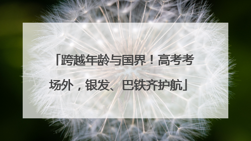 跨越年龄与国界！高考考场外，银发、巴铁齐护航