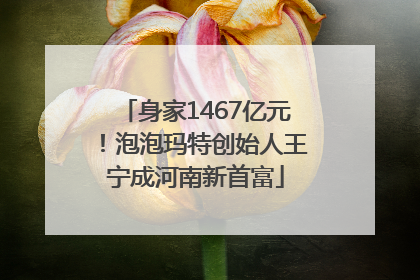 身家1467亿元！泡泡玛特创始人王宁成河南新首富