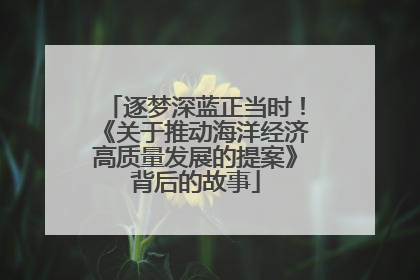 逐梦深蓝正当时！《关于推动海洋经济高质量发展的提案》背后的故事