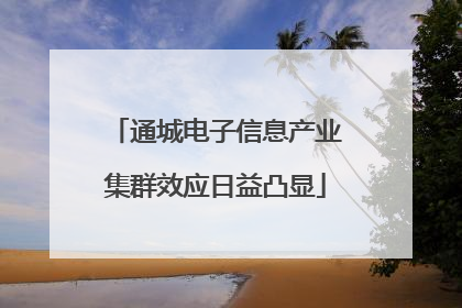 通城电子信息产业集群效应日益凸显