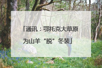 通讯：鄂托克大草原为山羊“脱”冬装