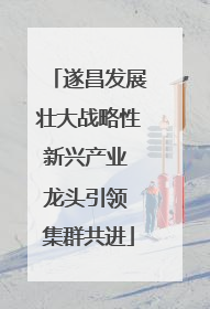 遂昌发展壮大战略性新兴产业 龙头引领 集群共进