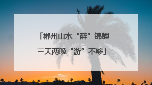 郴州山水“醉”锦鲤 三天两晚“游”不够