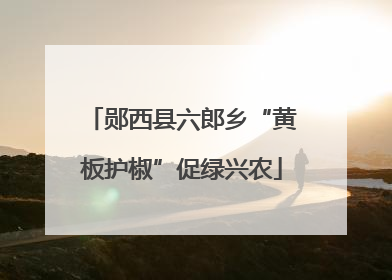 郧西县六郎乡“黄板护椒”促绿兴农