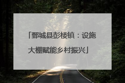 鄄城县彭楼镇：设施大棚赋能乡村振兴